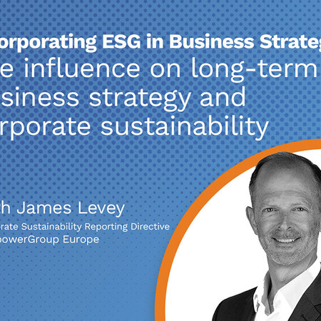 Bs Incorporating Esg In Business Strategy 800