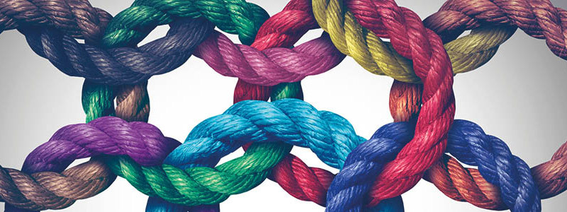 How Can Being A Diverse Employer Help Your Organisation
